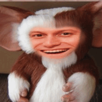 Gizmo